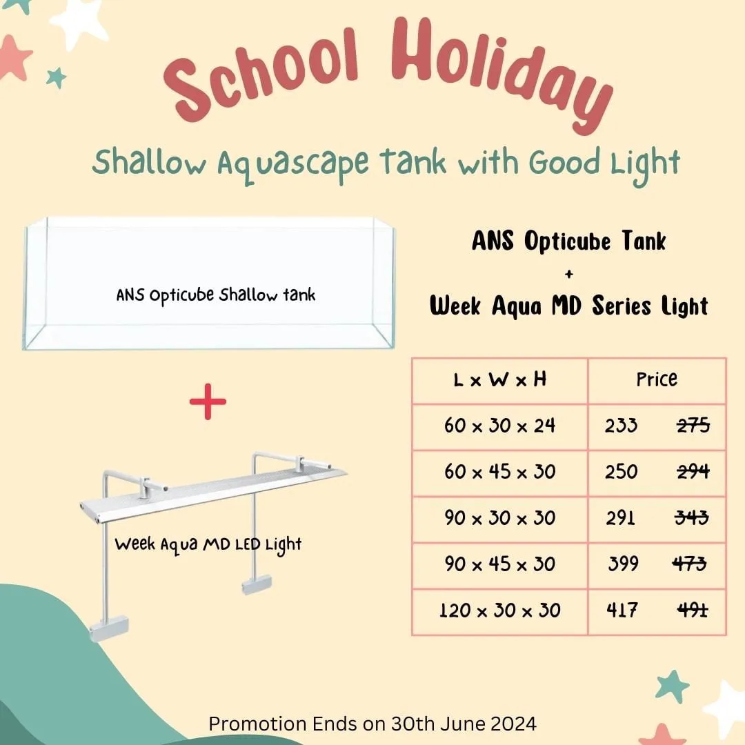 ANS Opticube Tank   Week Aqua LED Light Special