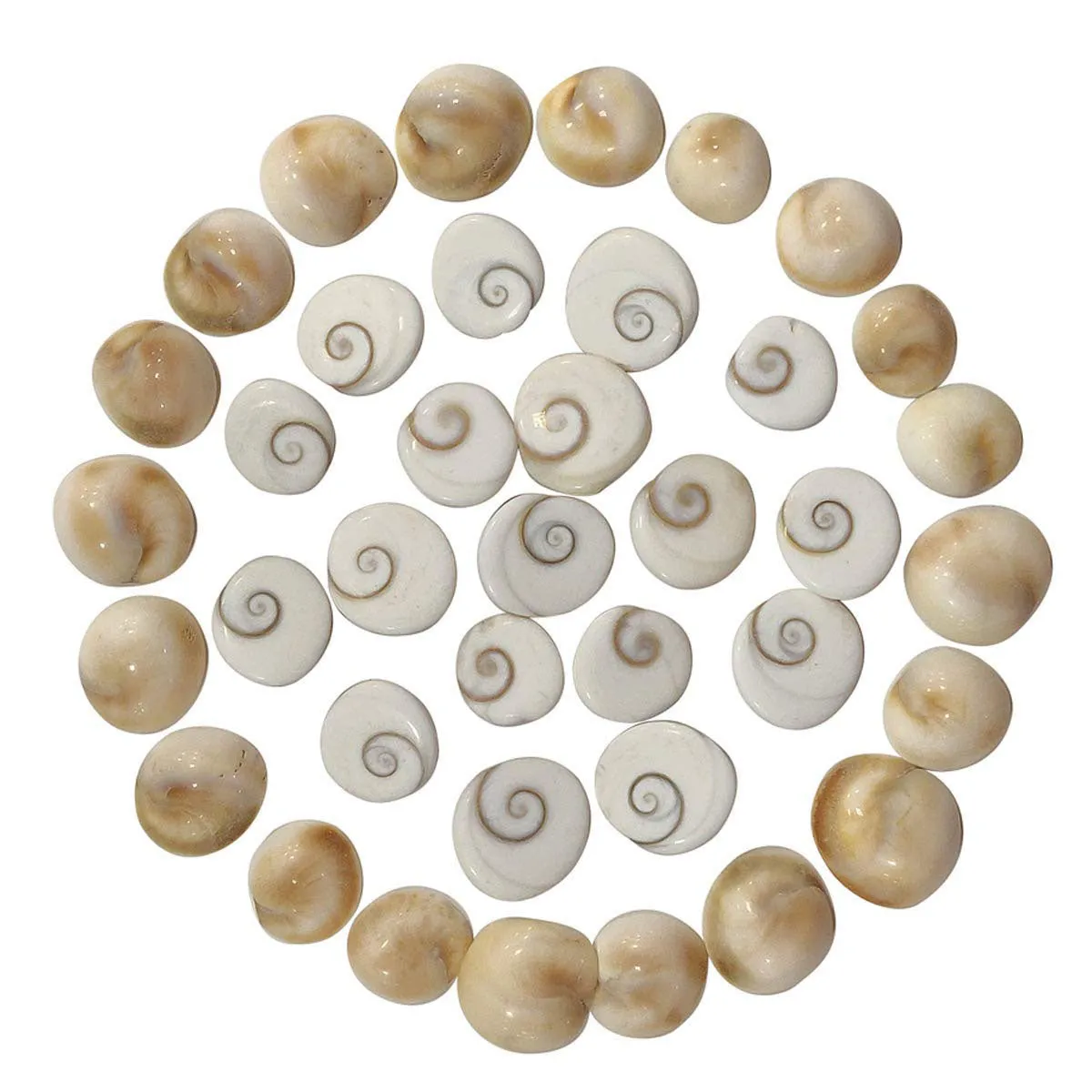 Gomati Chakra for Peace and Prosperity