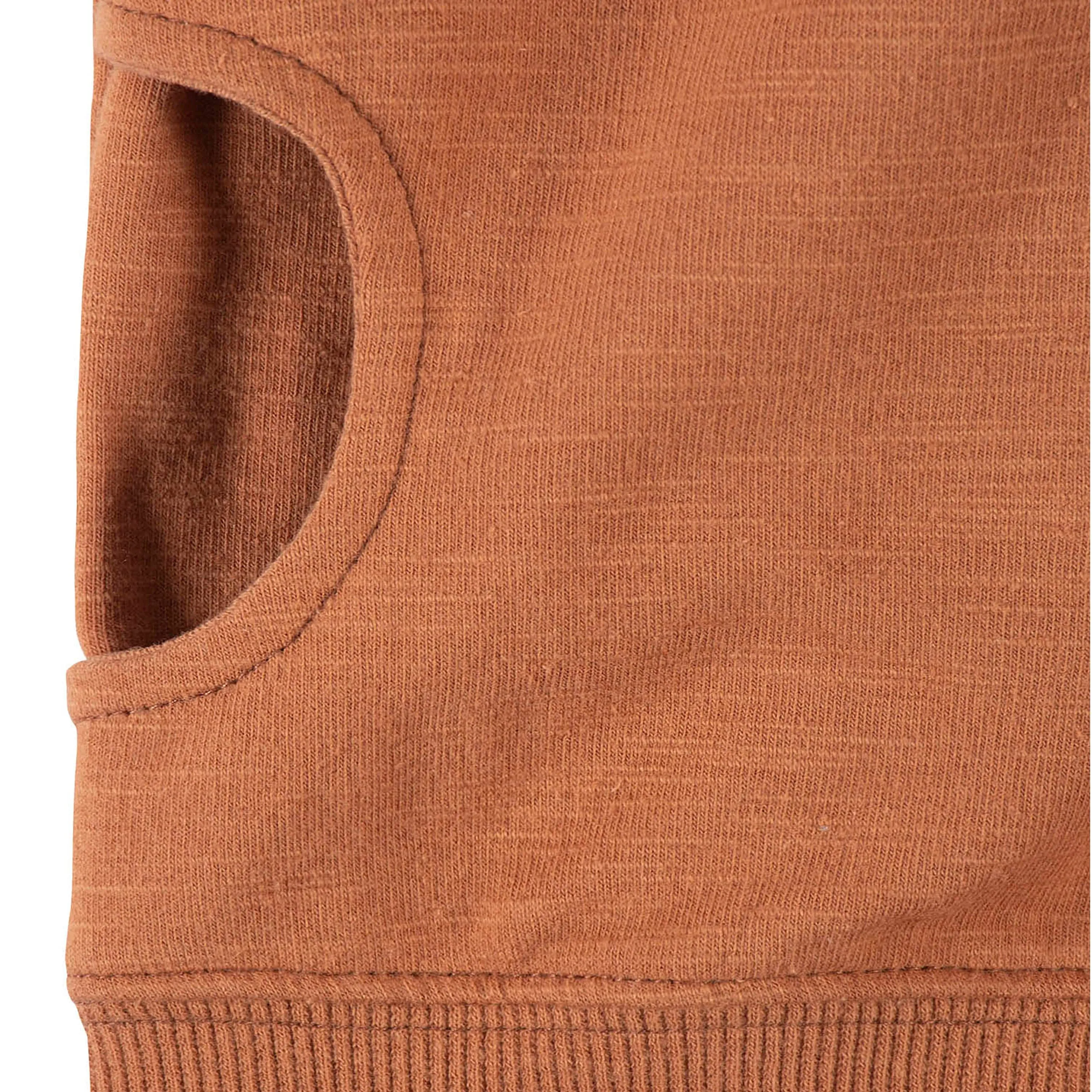 Infant & Toddler Boys Rust Orange Hoodie