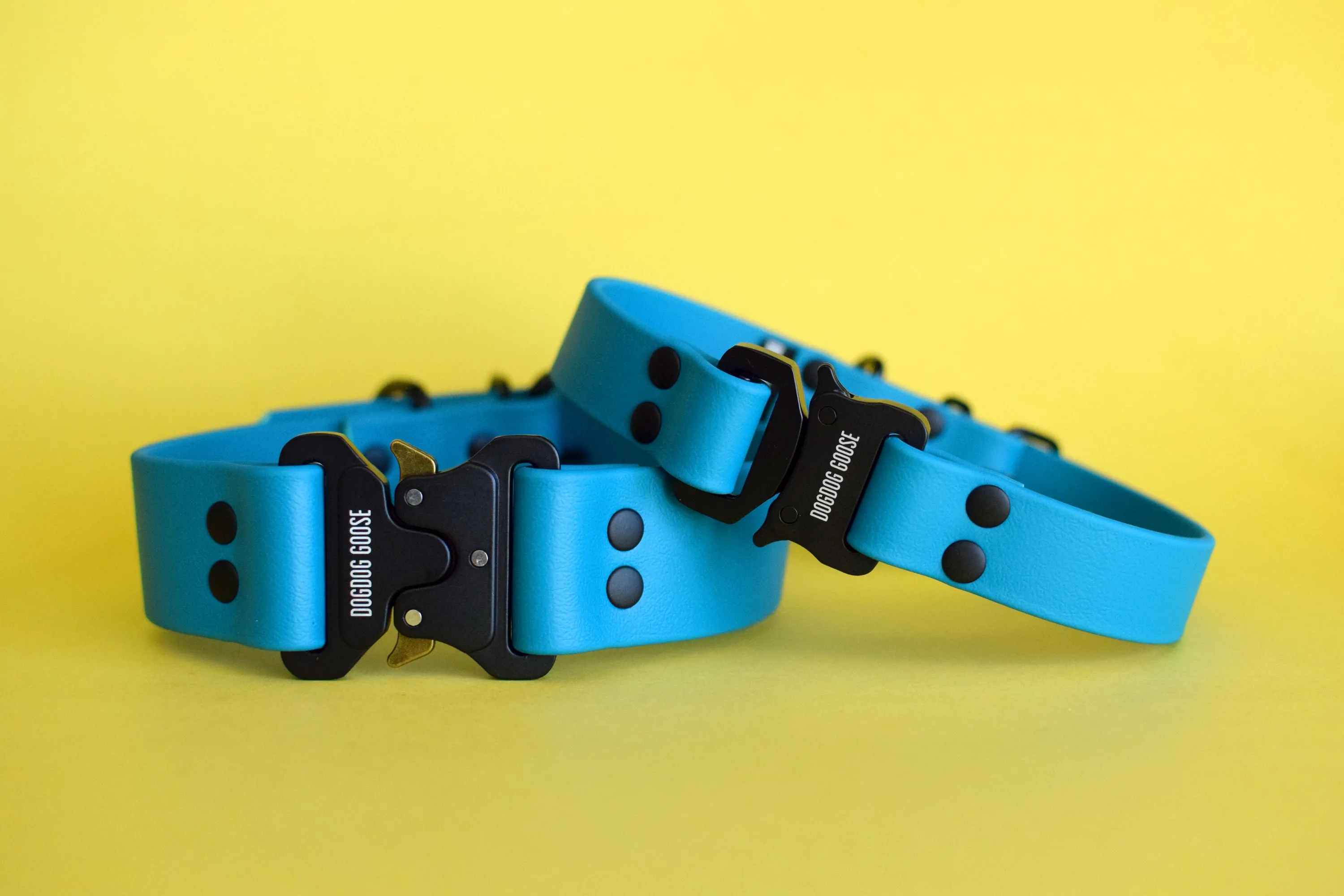 PREMADE COLLECTION - Lagoon & Black Biothane Dog Collar