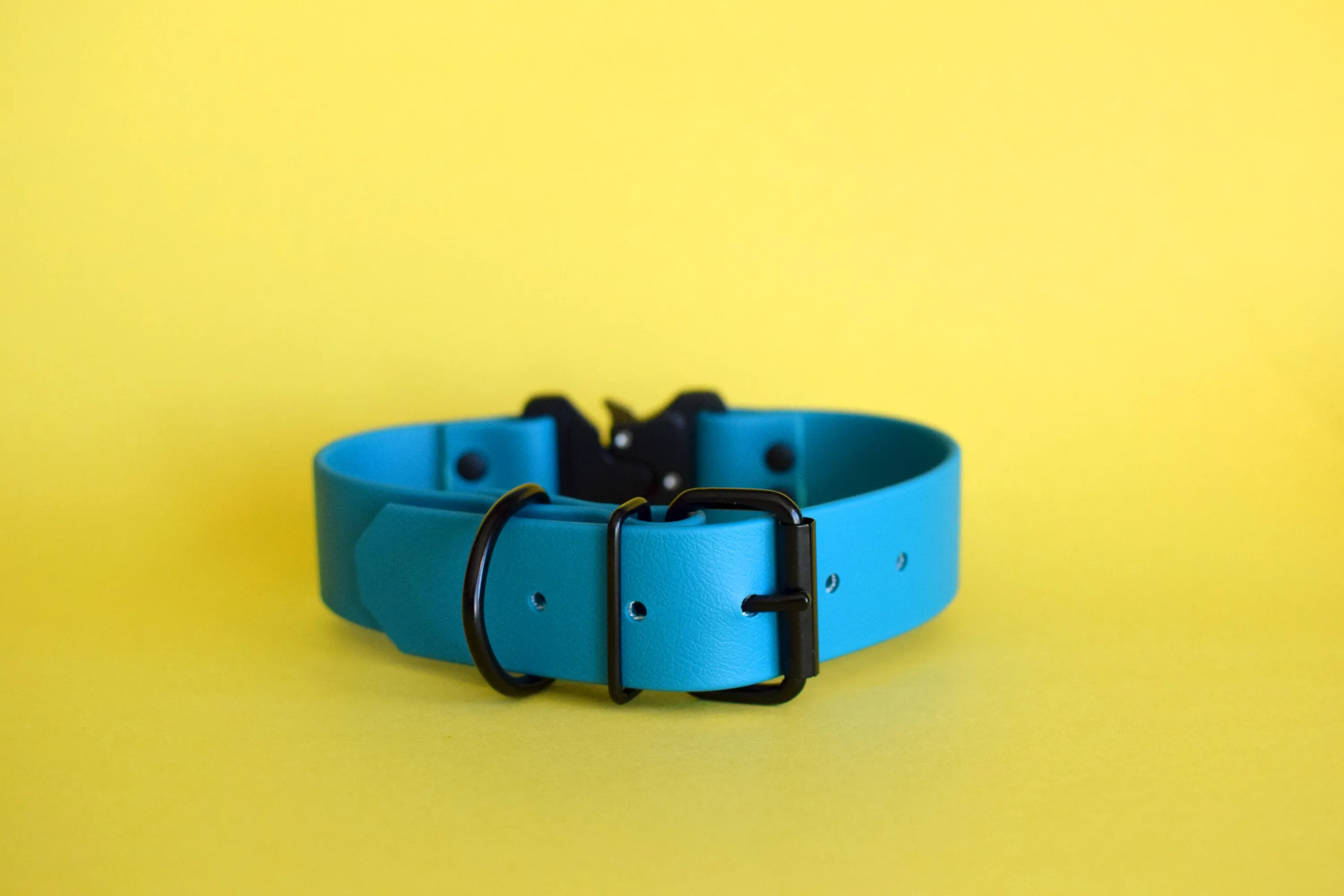 PREMADE COLLECTION - Lagoon & Black Biothane Dog Collar