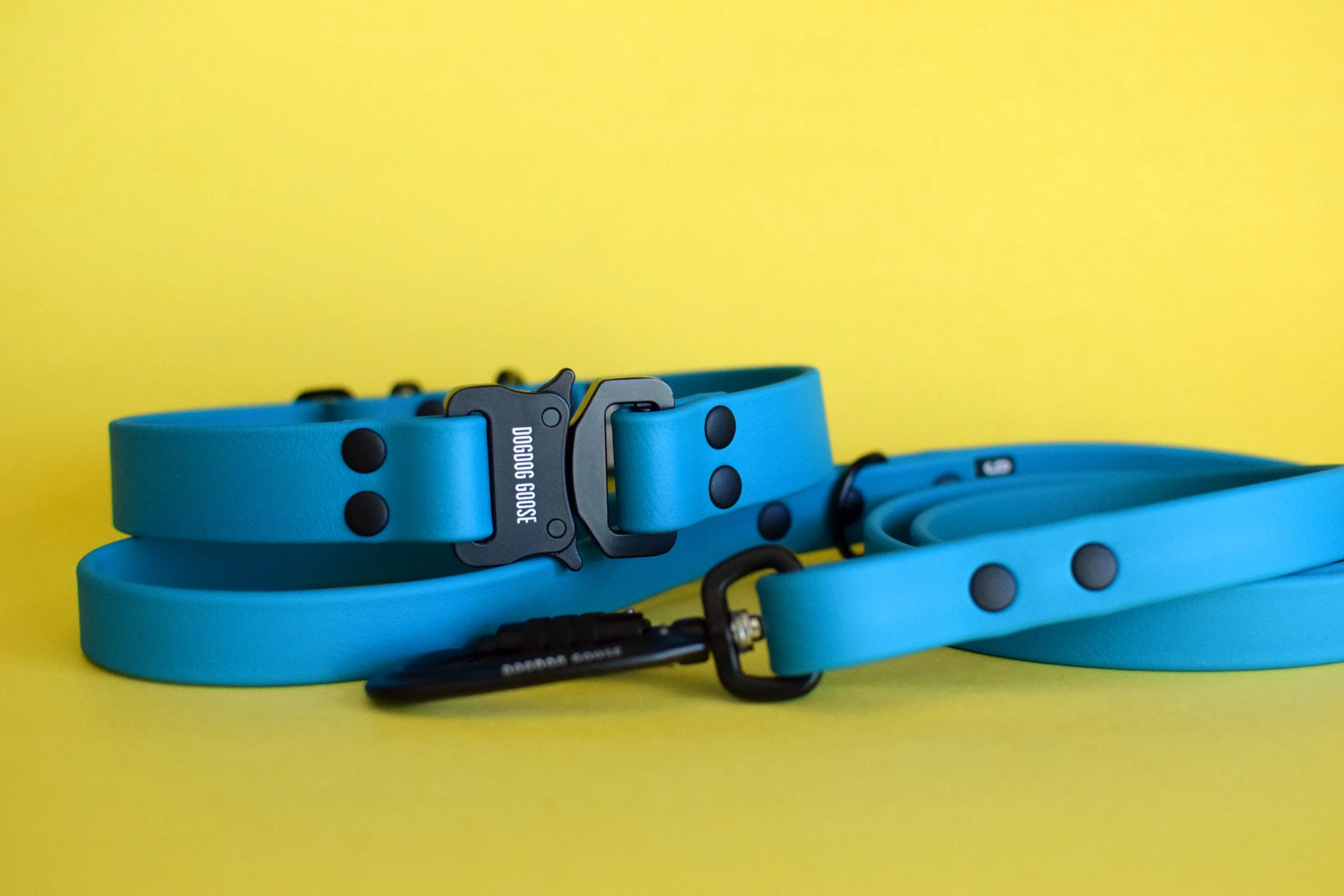 PREMADE COLLECTION - Lagoon & Black Biothane Dog Collar