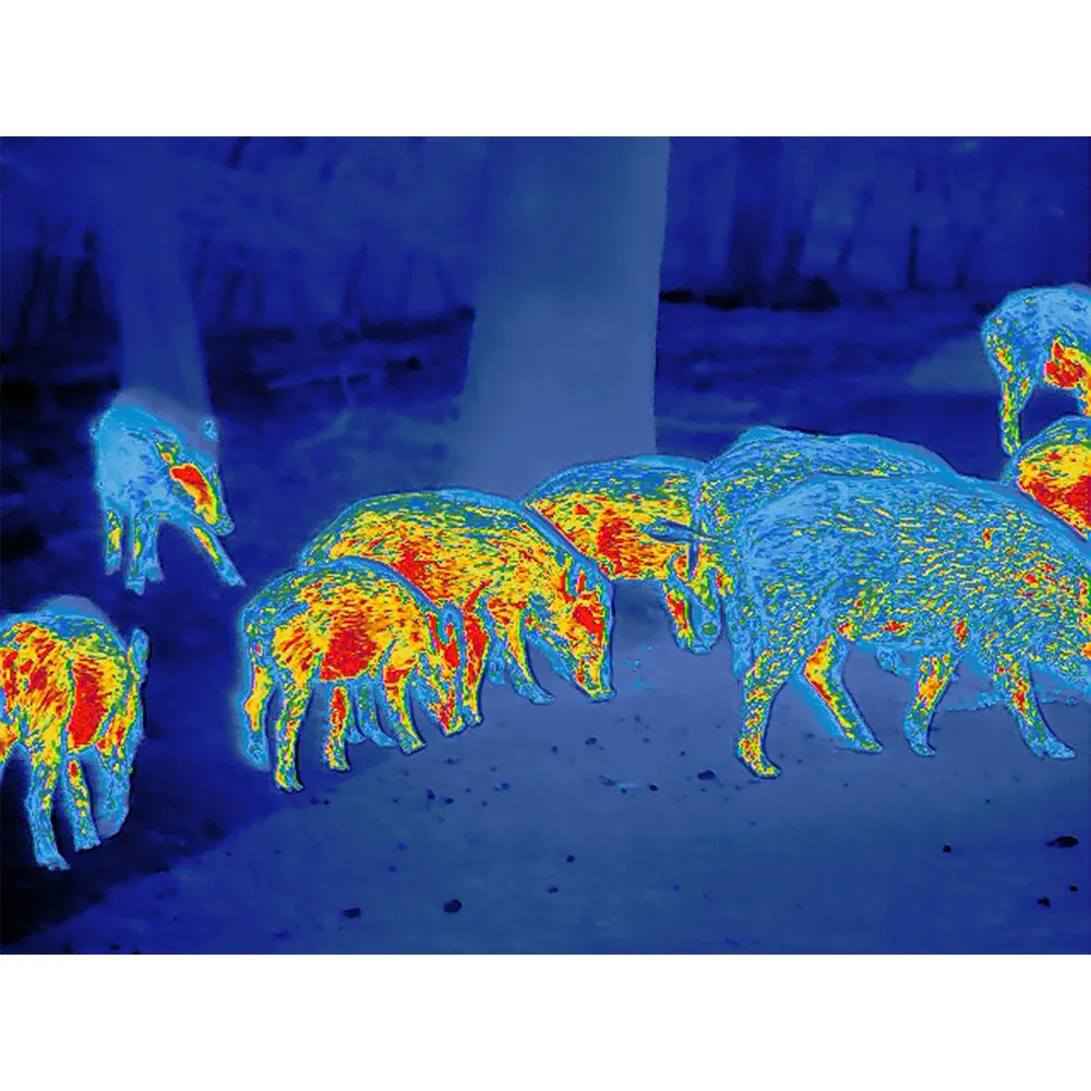 Zeiss DTI 4/50 Thermal Imaging Cameras